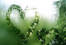  约基奇复出首秀出彩，广厦男篮主场惊险上海海港，豪取4连胜